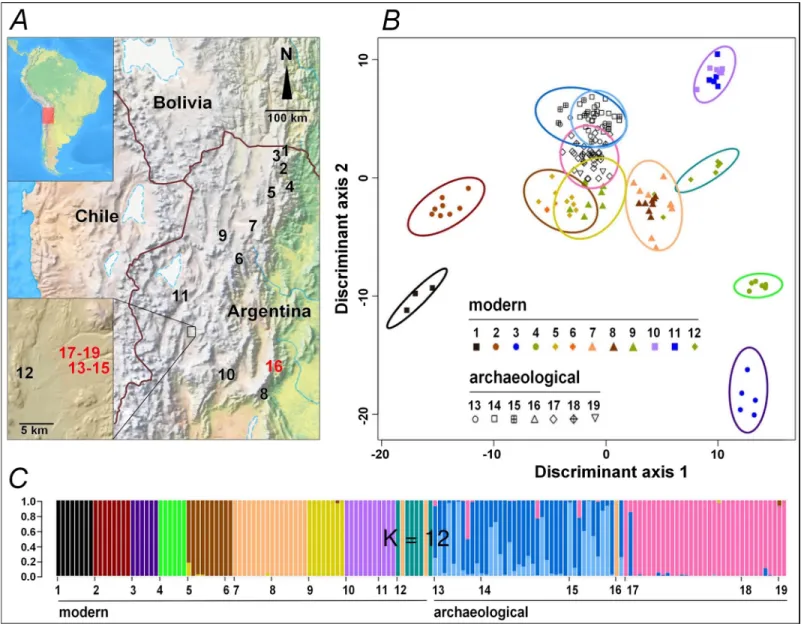 Fig 1. Geographic localization and genetic classification of ancient and modern quinoas collected in Northwest Argentina