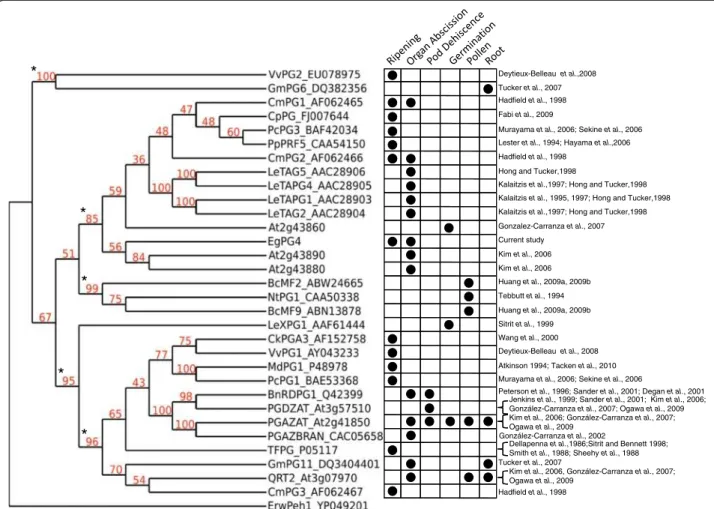 Figure 6 Phylogenetic analysis of EgPG4 and selected plant PGs from clade A with known functions and/or expression profiles using the neighbor-joining method based on multiple alignment of the sequences containing the GH28 domain