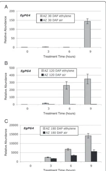 Figure 4 qPCR analysis of EgPG4 transcript abundance in the AZ of fruit at (A) 30, (B) 120 and (C) 180 DAP treated for different time periods with ethylene (10 μl l -1 ) or air