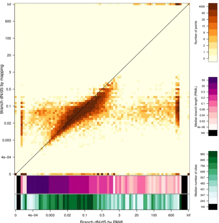 Figure 5. Estimation of dN/dS values by substitution mapping compared with dN/dS values estimated by PAML