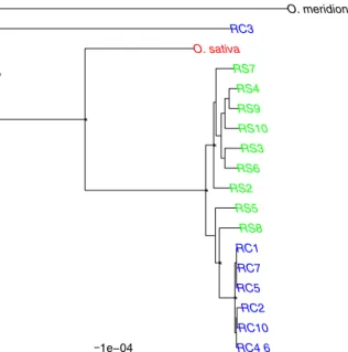Fig. 3 Phylogenetic tree of the 60 loci positioned between the position 4 and 6 Mb of the chromosome 5 reconstructed using