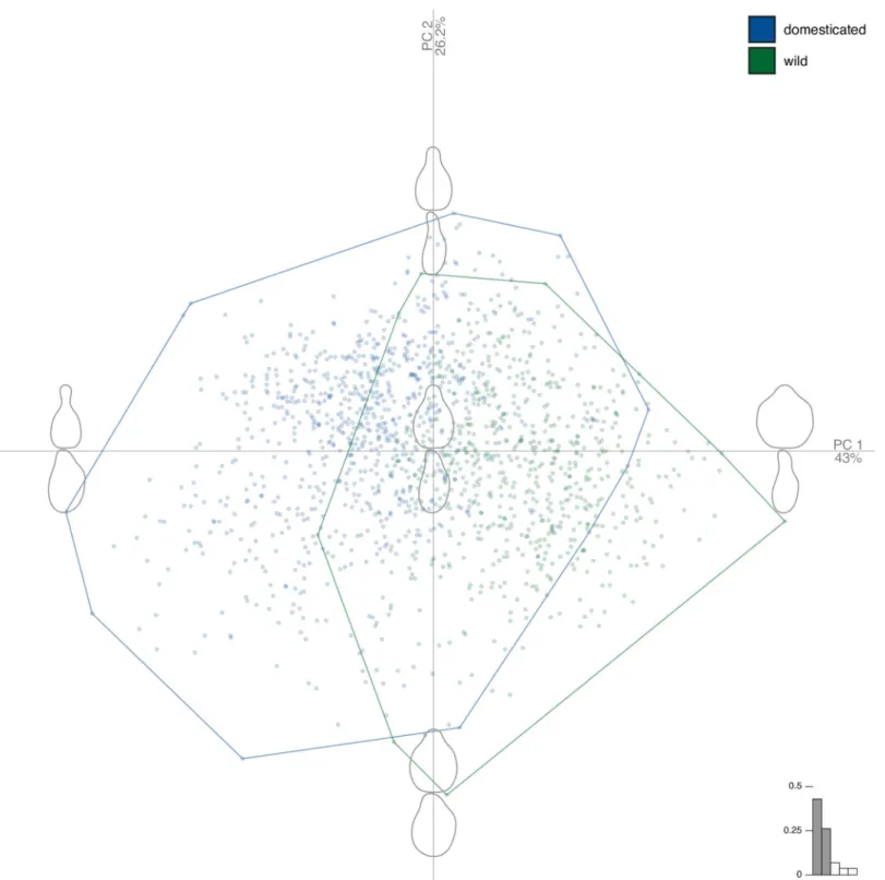 Fig 3. Principal component analysis on the joint matrices of Fourier coefficients obtained for the two views