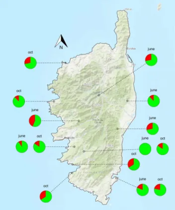 Table 1.  HolC alleles present in each population of P. spumarius.