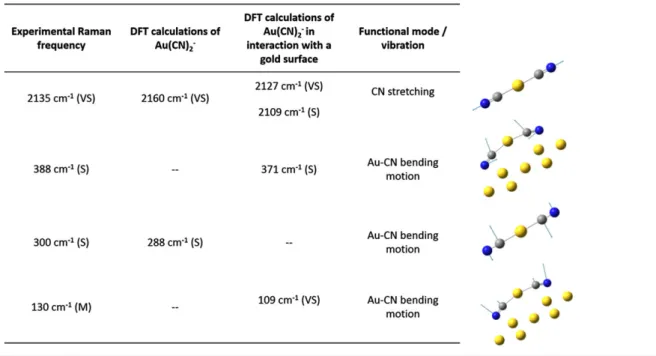 FIGURE 4 Surface ‐ enhanced Raman spectroscopy spectrum of a different gold surface
