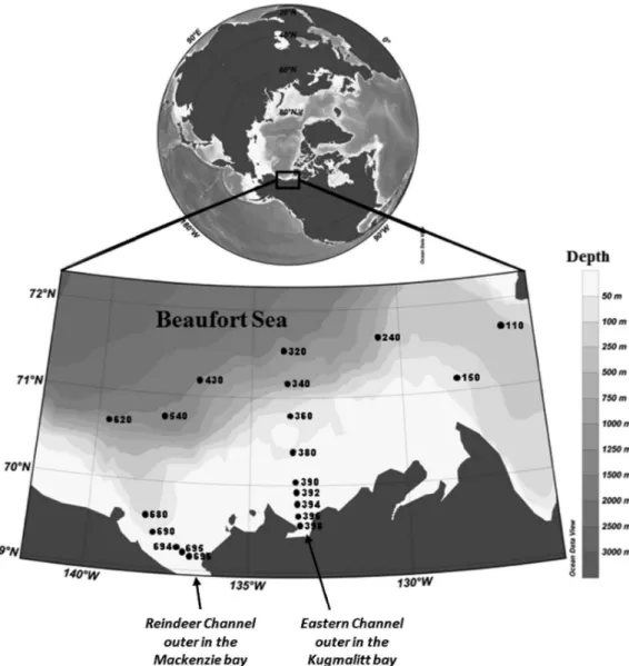 Figure 1. Locations and station numbers investigated during the Mackenzie Light and Carbon cruise over the Canadian shelf of the Beaufort Sea in front of the Mackenzie River.
