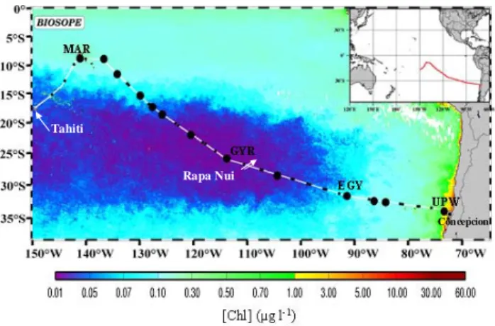 Fig. 1. Map of the BIOSOPE cruise track superimposed on a Sea-viewing Wide Field-of-view Sensor (SeaWiFS) composite for November and December showing the chlorophyll concentration in the upper layer