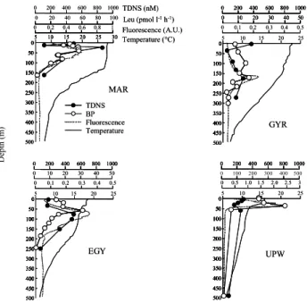 Fig. 2. Depth profiles of total dissolved neutral sugars (TDNS in nM), leucine incorporation rates (LEU, pmol l −1 h −1 ), chlorophyll fluorescence (arbitrary unit), and temperature ( ◦ C) at the four  sta-tions in the South East Pacific.