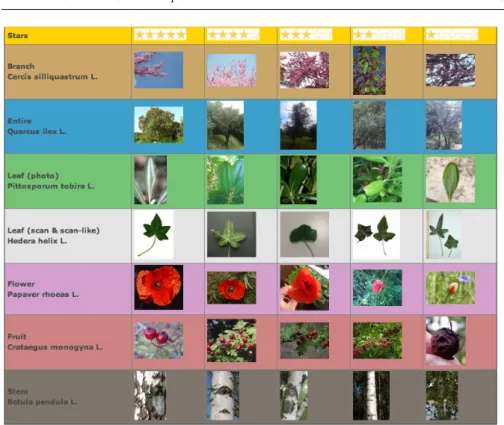 Fig. 2 Illustration of the collaborative data produced through PictoFlora: pictures are annotated with structured tags and rated according to their quality (for identification  pur-poses)