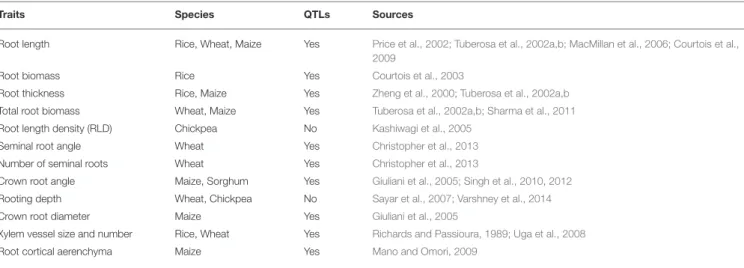 TABLE 2 | Structural and functional root traits identified as potentially relevant for drought-resistance breeding.