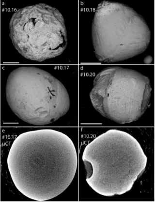 Fig. 1. Scanning electron microscope backscattered electron images of four cosmic spherules (a) #10.16 (cryptocrystalline), (b)