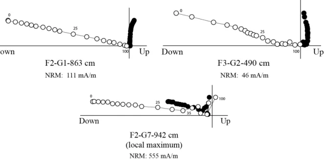 Fig. 9. Orthogonal projection plots (Zijderveld diagrams) of stepwise alternating-field demagnetization data of the  cores