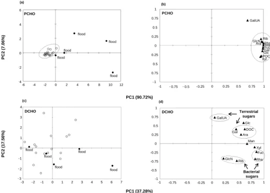 Fig. 4. Principal components analysis for particulate and dissolved carbohydrates, including POC and DOC