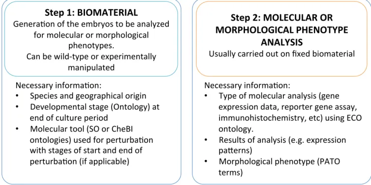 Figure 1. Overview of the two main structuring parts in the experiment module.