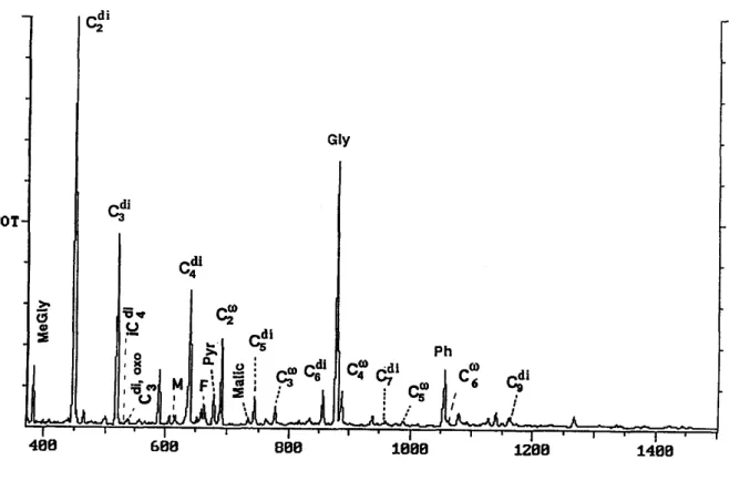 Fig. 2.  A reconstructed total  ion  chromatogram  (RIC) of the derivatives of dicarboxylic acids,  ketocar-  boxylic acids and dicarbonyls isolated from the marine rain sample collected from the South Pacific (RI3),  October  1992