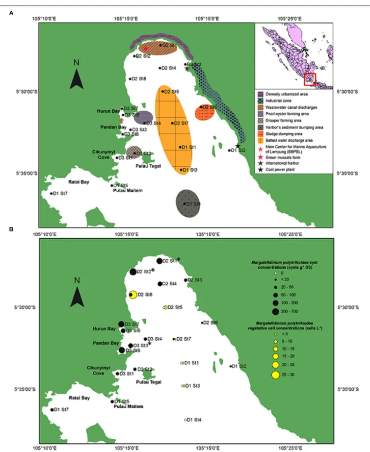FIGURE 1 | Study area of the southeastern coast of Sumatra, Indonesia. (A) Location of the 21 sampling sites with the shore characteristics and human activities of the inner part of Lampung Bay