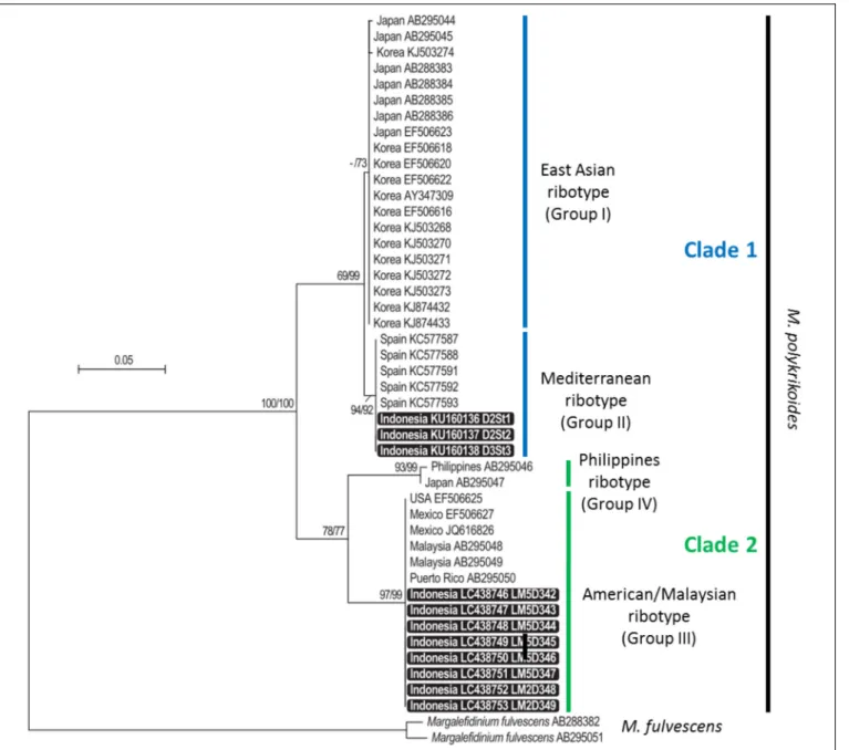 FIGURE 3 | Maximum likelihood (ML) and neighbor-joining (NJ) tree based on partial LSU rDNA sequences of Margalefidinium polykrikoides