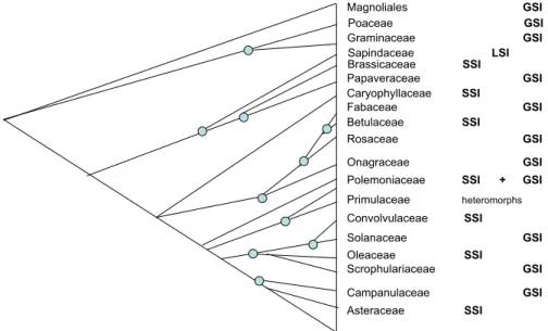 Fig. 1 Schematic phylogenetic tree of the Plantae showing occurrences of SSI sporophytic self-incompatibility, GSI gametophytic self-incompatibility, LSI late self-incompatibility