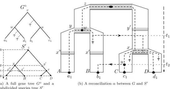 Fig. 6: A reconciliation α between a gene tree G and a dated species tree (S, θ S ), where S 0 is its subdivision and G is the traceable gene tree of G o and losses are indicated by crosses