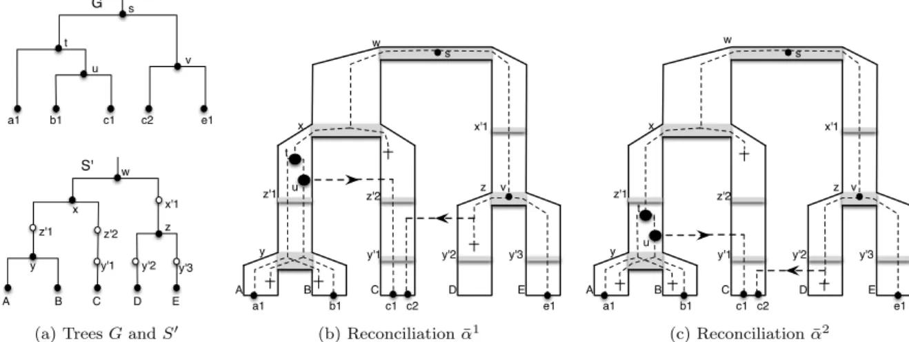 Fig. 7: Equivalent reconciliations between a gene tree G and a dated species tree (S, θ S )