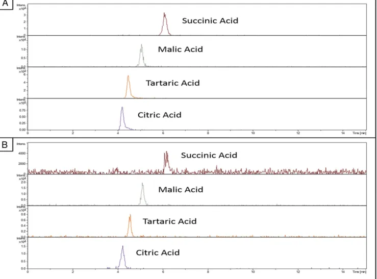 Fig. 3. Extracted ion chromatograms ( ± 0.005-Da window) for 5 μ M standard solutions (A), using the theoretical mass of deprotonated tartaric, malic, succinic, and citric acid, compared with jar sherd sample GG-IV-50 (B)