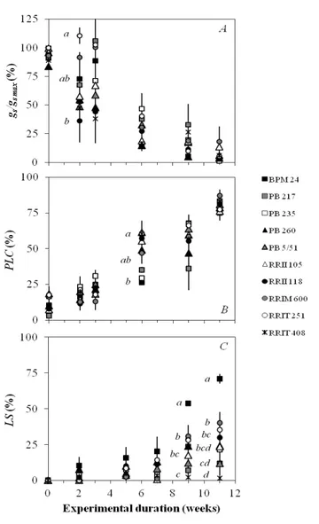 Figure  3:  Survey  of  drought-related  traits  in  10  rubber  clones  during  a  simulated  drought  (A)  Relative  stomatal  conductance  (gs  /gs  max),  (B)  percentage  loss  of  petiole  xylem  conductivity  (PLC)  and  (C)  relative  shed  leaf  a