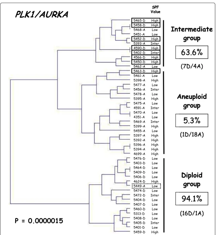 Figure 3 Dendrogram of 24 DNA diploid (xxxx-D) and 23 DNA aneuploid breast tumors (xxxx-A)
