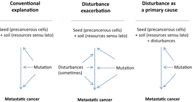 Figure 3 (A) The standard seed-soil hypothesis as an explanation for oncogenesis, (B) When the first associations between disturbance and cancer began surfacing they were accommodated by fitting then into the seed-soil paradigm, and (C) Disturbances play a