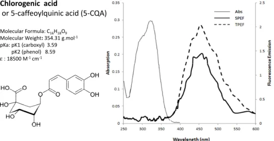 Figure 3. Absorption and emission spectra of chlorogenic acid (5-caffeoylquinic acid, 5-CQA)  with conventional spectrometer (single photon excited fluorescence, SPEF) and  multiphoton laser (two-photon excited fluorescence, TPEF) and the chemical characte