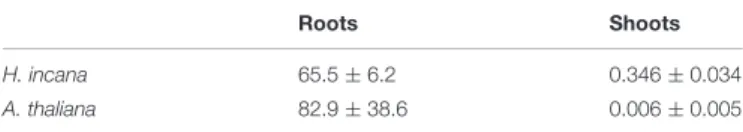 TABLE 2 | Number of regulated genes in roots and shoots of A. thaliana and H. incana treated with Pb relative to untreated plants.