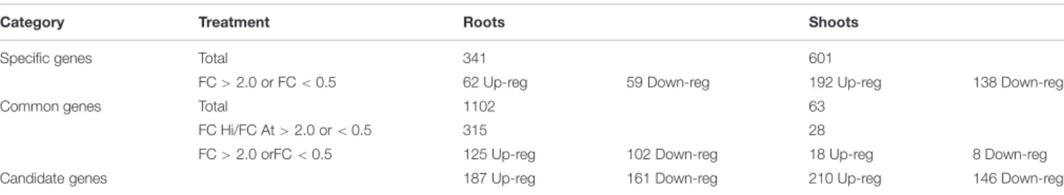 TABLE 3 | Selection steps applied to highlight H. incana candidate genes regulated in response to Pb exposure in roots and shoots.