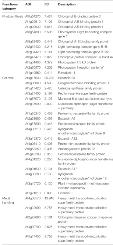 TABLE 5 | GO enrichment analysis of differentially expressed genes in roots.