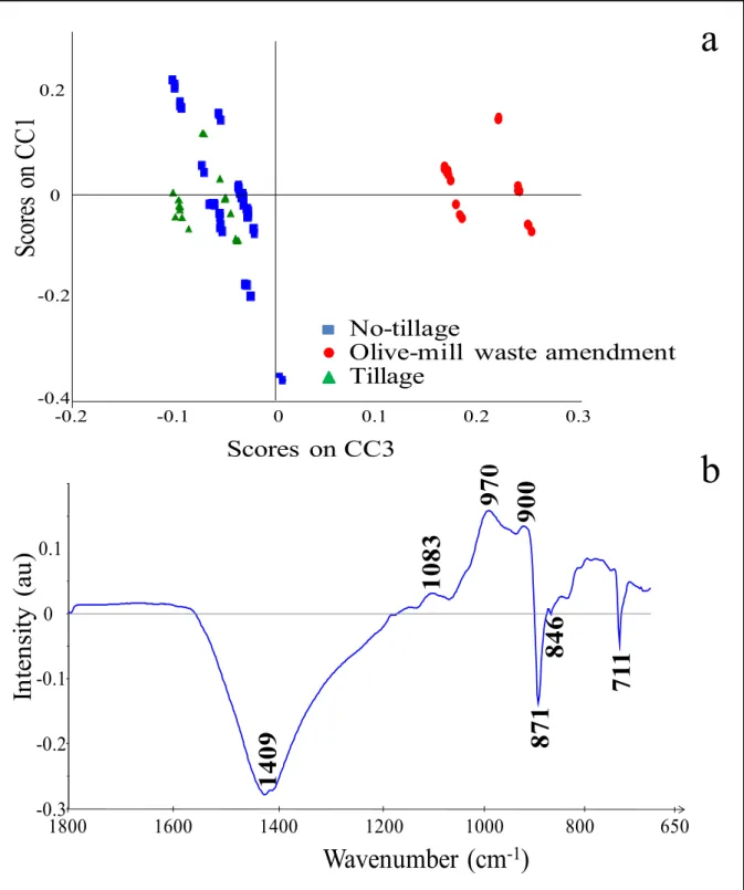 Fig. 4. AcomDim of spectral soil data from olive-tree orchards under Sub-humid climatic conditions: (a) CC1 vs