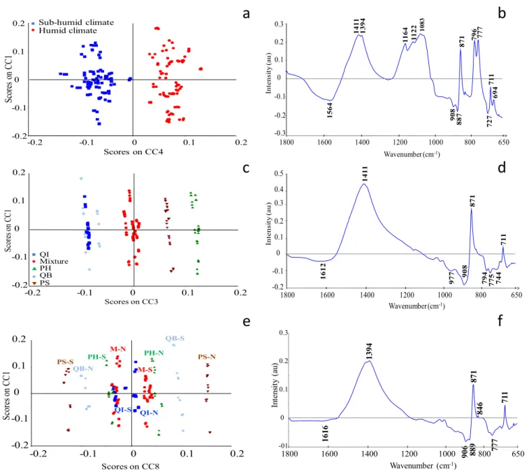 Fig. 5. AcomDim results on spectral soil data from forest stands: (a) CC1 vs. CC4 scores plots, (b) loading on CC4 corresponding to factor “climate”, (c) CC1 vs