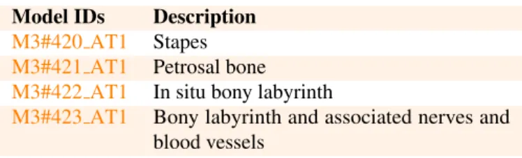 Table 1. List of models derived from the delphinid petrosal AT1 from the Sebastian Englert Museum, Hanga Roa, Rapanui.