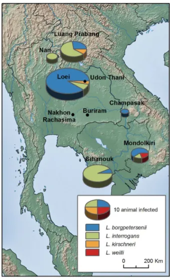 Figure 1. Geographic distribution of Leptospira infection in rodents from Thailand, Lao PDR and Cambodia.