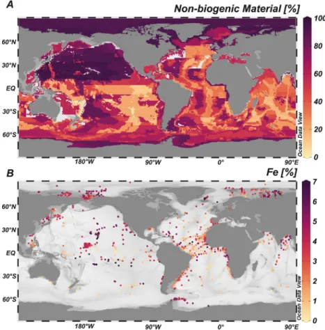 Figure 5.  The weight fractions of nonbiogenic material (a) and Fe (b) in the global ocean
