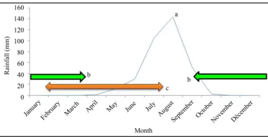 Figure 6. The 2 annual date production seasons in Manga and the monthly average rainfall from  1939 to 2013 in Gouré