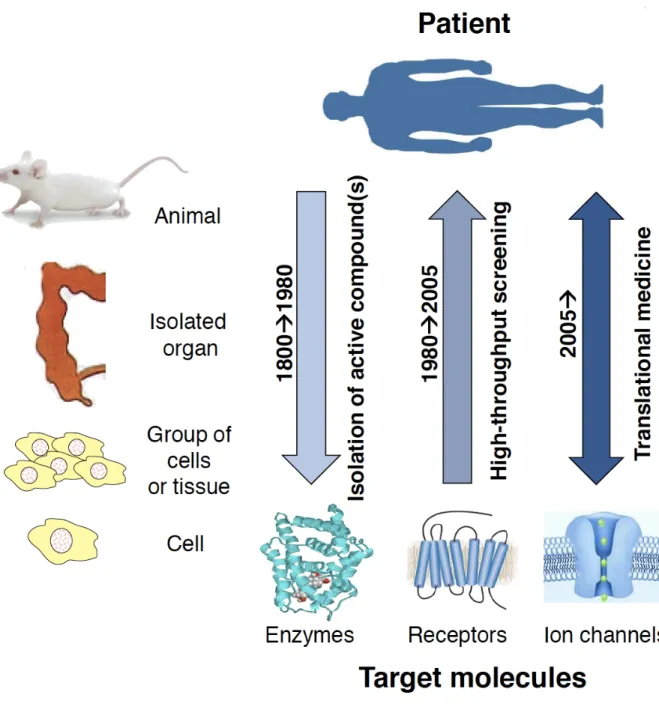 Figure 6. Evolution of the research strategies utilized by Pharma companies. 