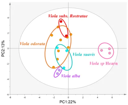 Fig. 3 PCA score plot of GC-EIMS data from SPME flower extracts using binarized data (in colour)