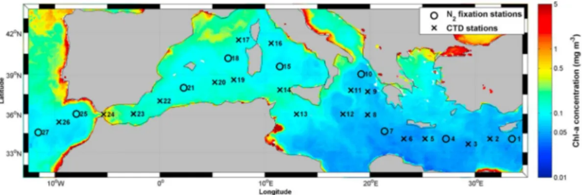 Figure 1), where we included sampling of the Mediterranean Water (MW), which is a mixture of LIW and North Atlantic Central Water (NACW).