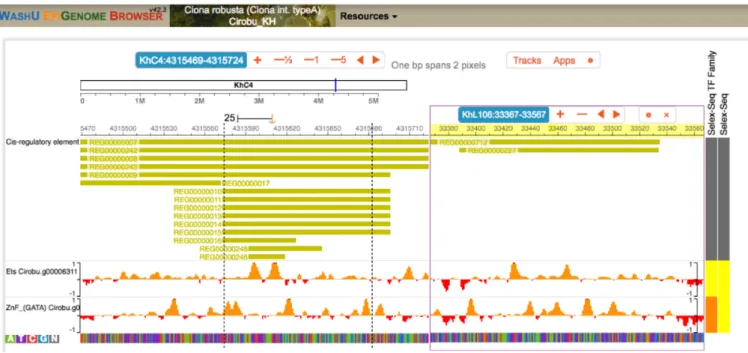Figure 3. Simultaneous visualization of candidate transcription factor binding sites in two known regulatory sequences