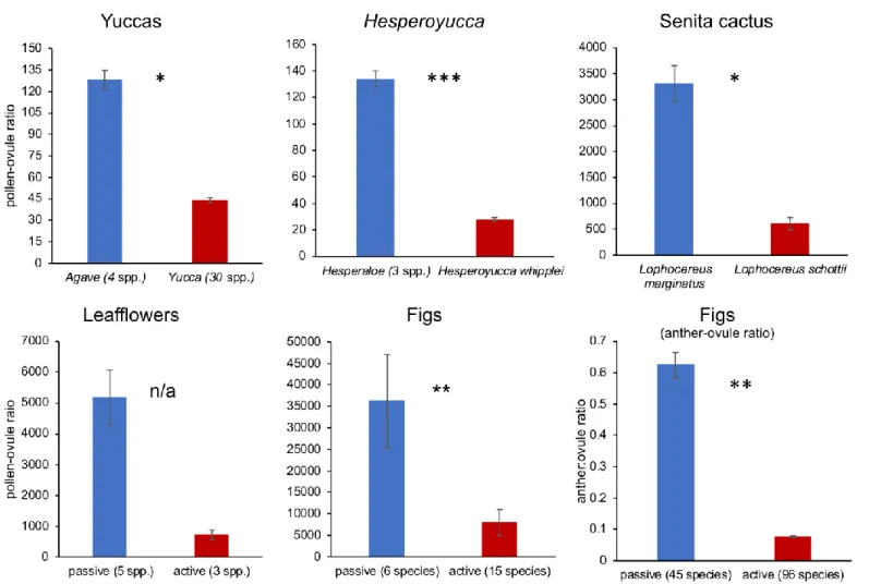 FIGURE 1. Comparisons of pollen-ovule ratios for each of the actively pollinated plant lineages