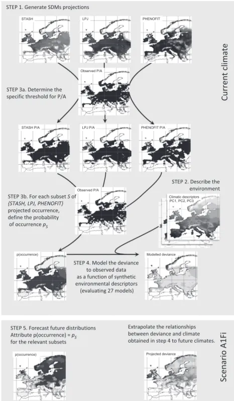 Fig. 1. Schematic workﬂow of the design of the consensus model and its forecasts. The maps illustrating the chart correspond to Quercus robur.