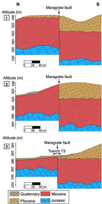 Fig. 5   North–south geological  cross sections of various scales,  centred on the Maragrate fault
