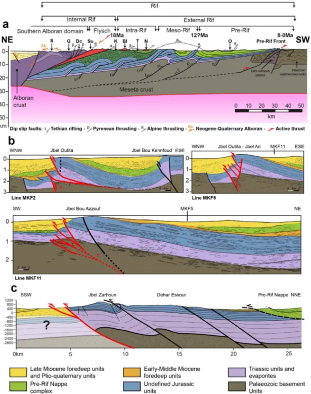 Figure 4. (a) Crustal-scale geological cross section extracted from TRANSMED-Transect I, depicting the main 