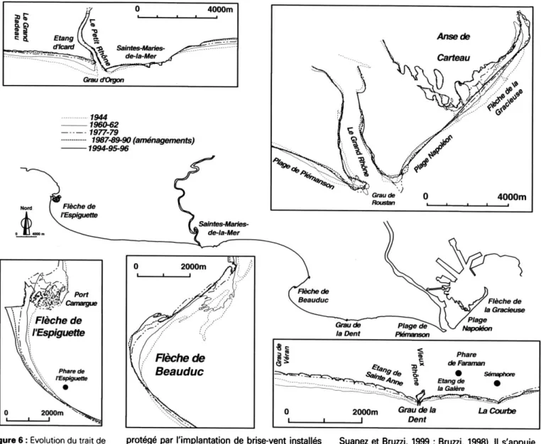 Figure 6 :  Evolution du trait  de  côte à l'échelle mi-séculaire  dans le delta du Rhône 