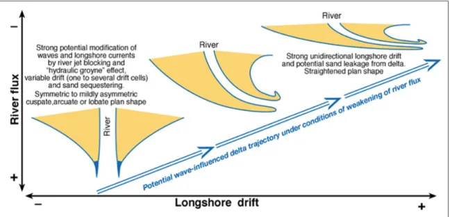 Figure 3: Schematic continuum of delta morphology and potential net long-term trajectory of evolution