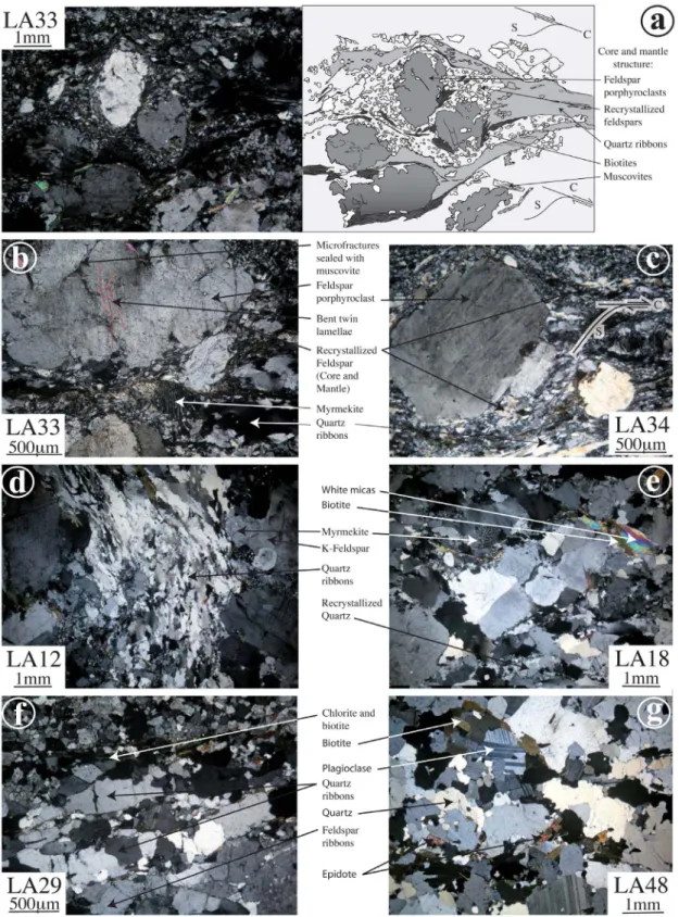 Figure 9. Microstructures of magmatic bodies in the KSZ near Tangtse. (a) Sample LA33, showing a typical core and mantle structure of quartz – feldspar aggregate recrystallization during right-lateral shear