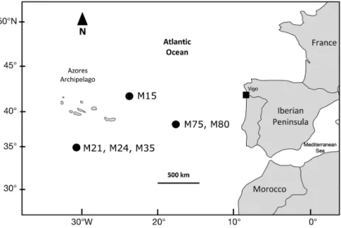 Fig. 1. Sampling area in the northeastern Atlantic. Identification numbers of shortfin makos Isurus oxyrinchus with marine mammal prey in their stomach 