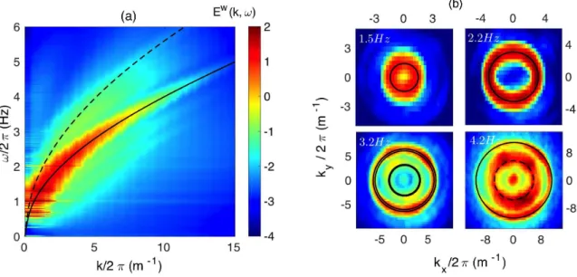 FIG. 6. (a) Space time Fourier power spectrum of the vertical velocity of the waves E w (k, ω) for a typical experiment where the mean wave steepness is ǫ = 0.11